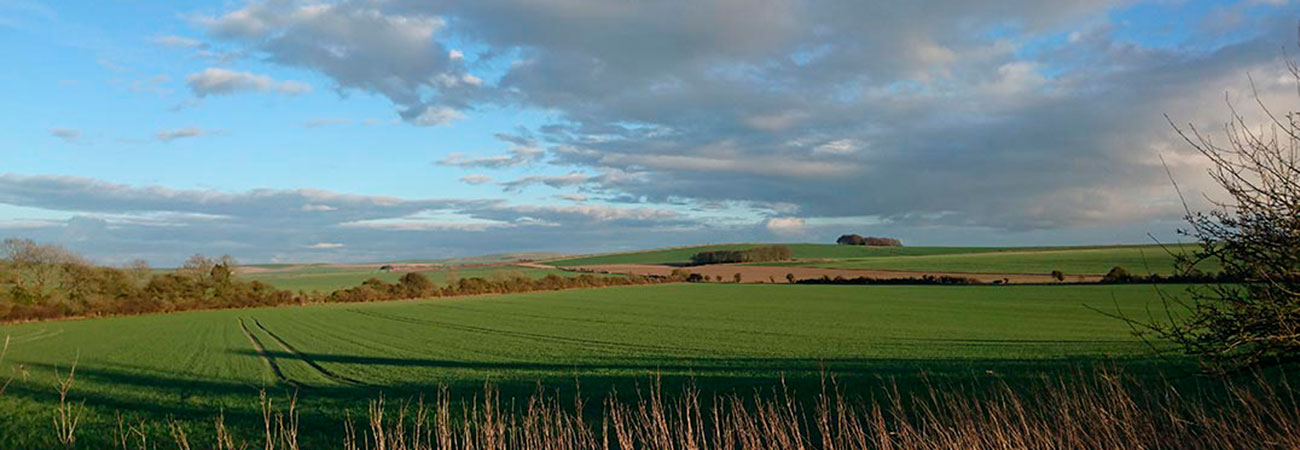 Views of Heddington in Wiltshire
