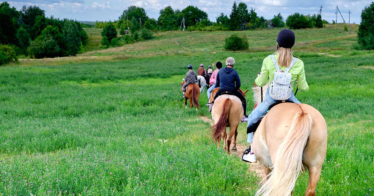 fun horse ride